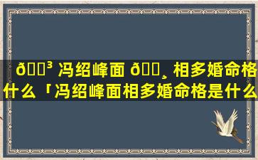 🐳 冯绍峰面 🌸 相多婚命格是什么「冯绍峰面相多婚命格是什么意思」